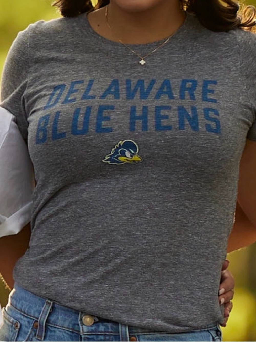 Delaware Blue Hens Gray Short Sleeve Tee